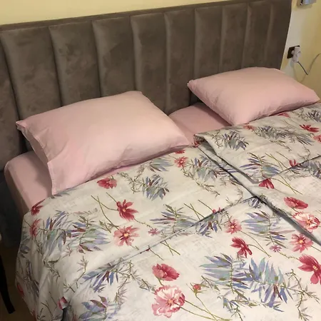 Selefi Apartment Tirana